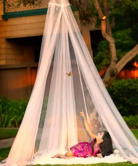 Mosquito Net Nagercoil, Window & Door Screens